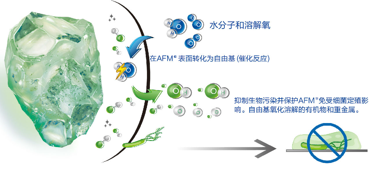 AFM_IFU_2020_CN-01-01.jpg